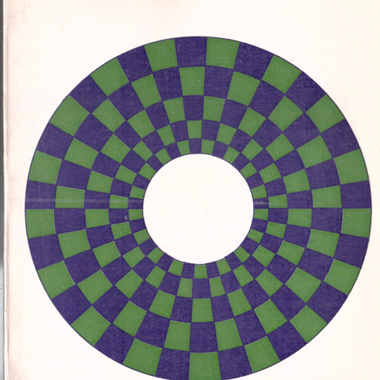 O prefeito e o município 1