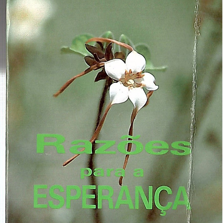 Razões para a esperança 1