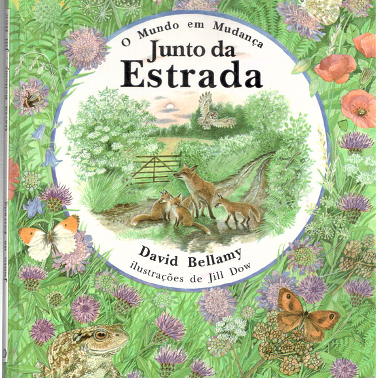 O mundo em mudança junto da estrada 1