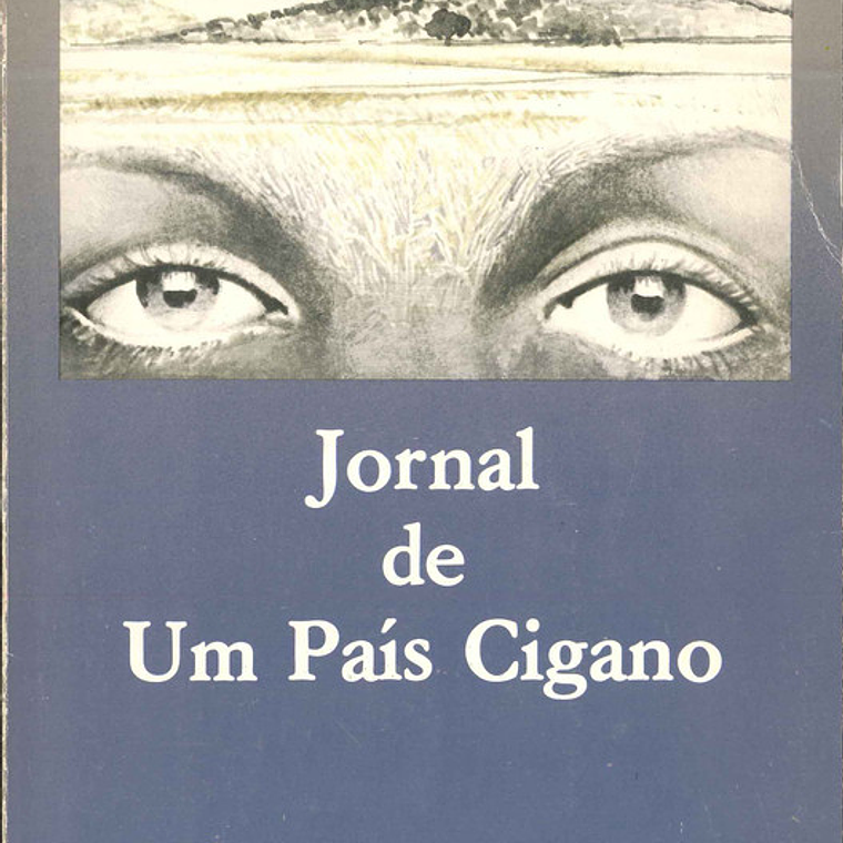 Jornal de um país cigano 1