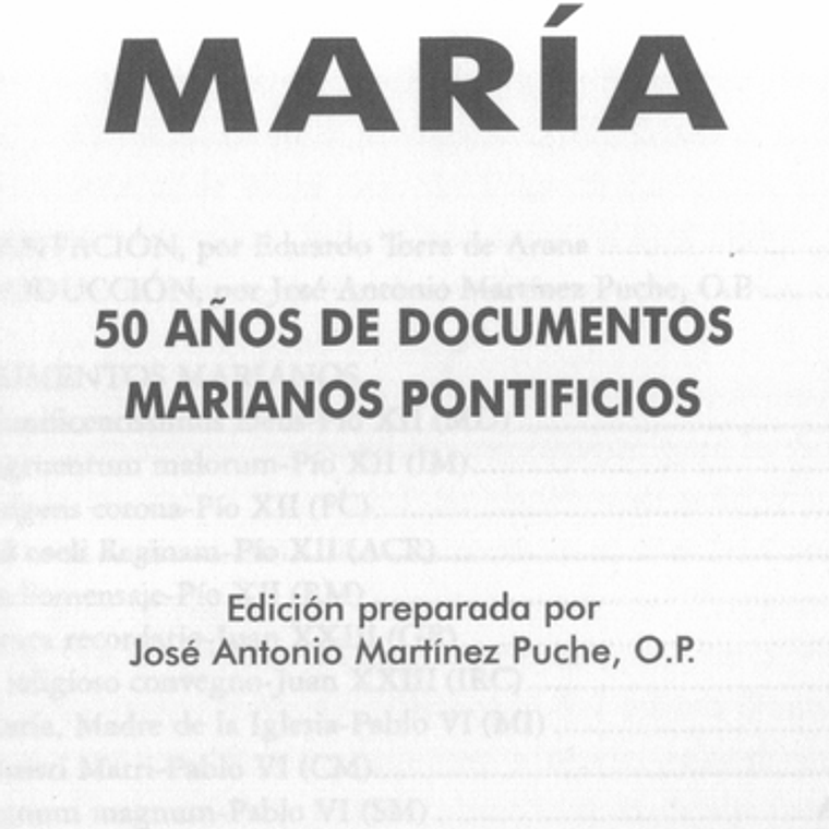 La Iglesia habla de Maria 1