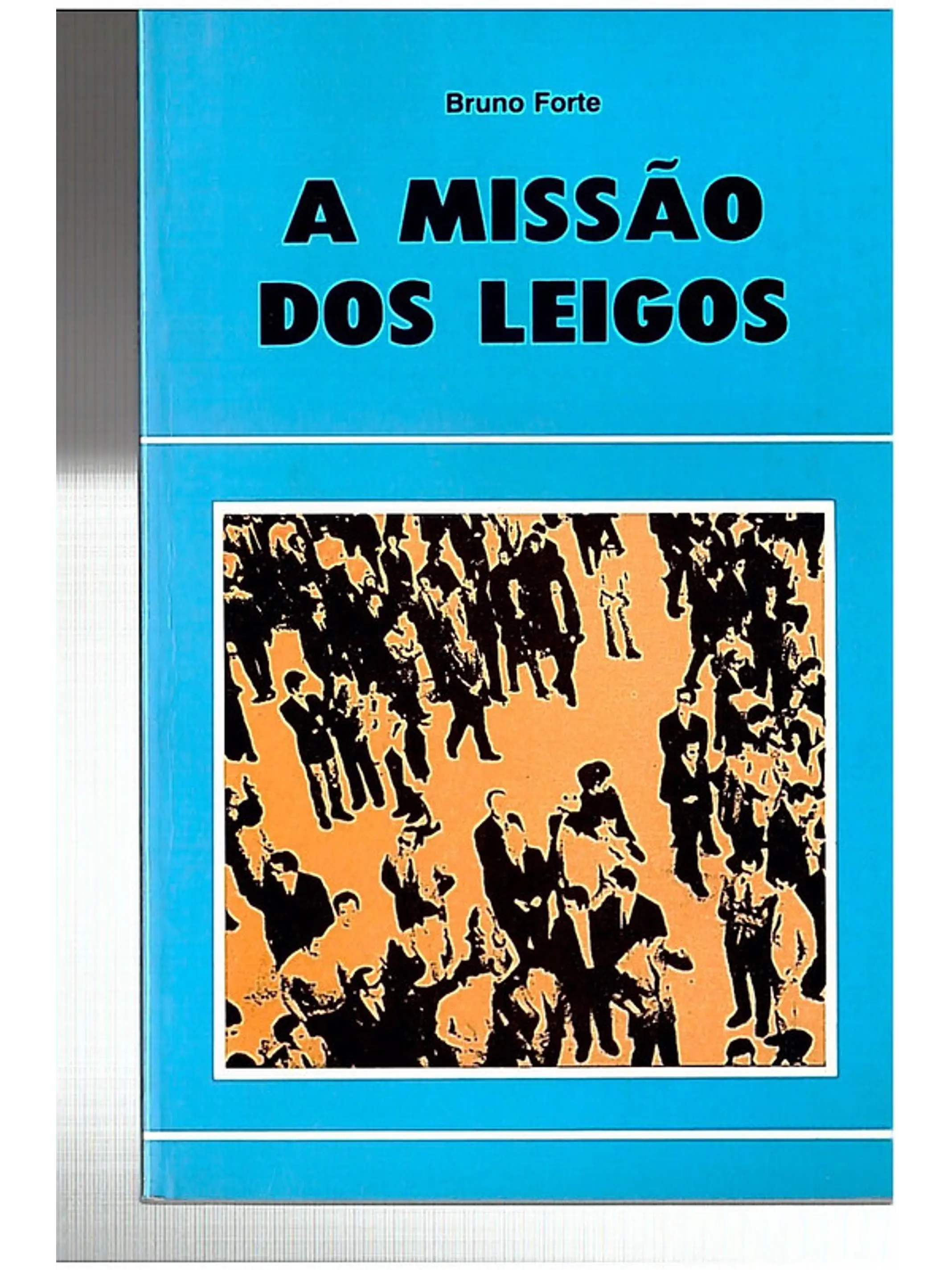 A Missão dos leigos 1