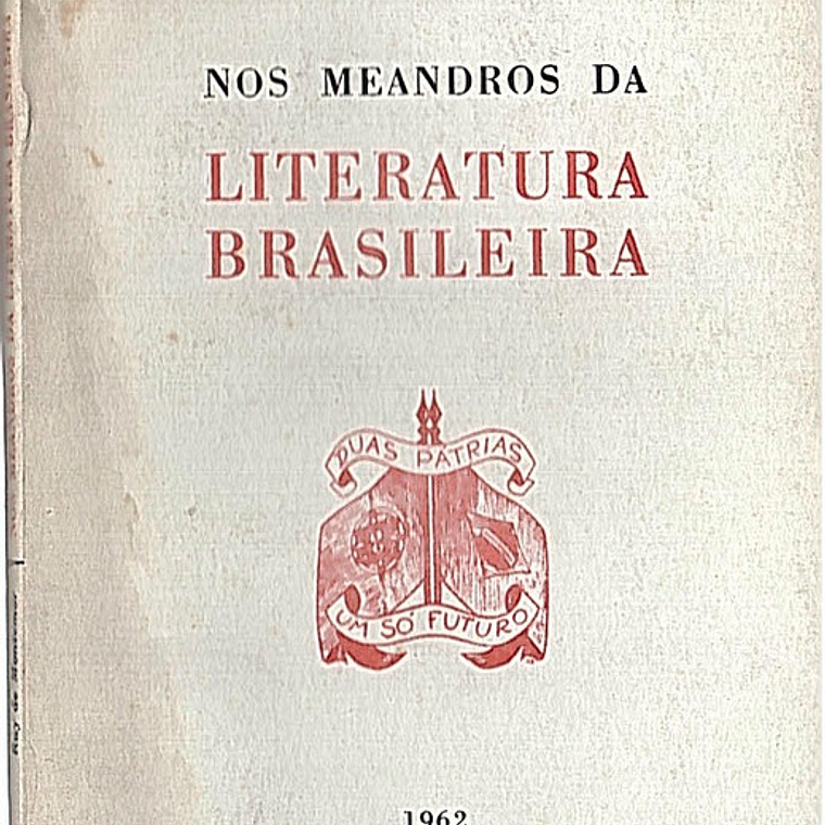 Nos meandros da literatura brasileira 1