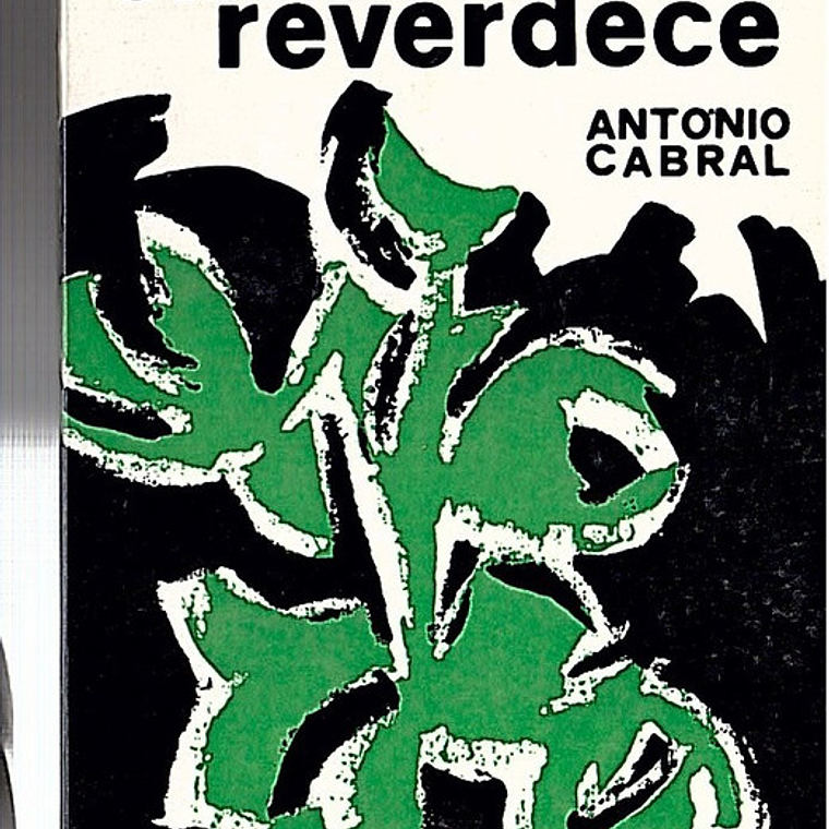 Quando o silêncio reverdece 1