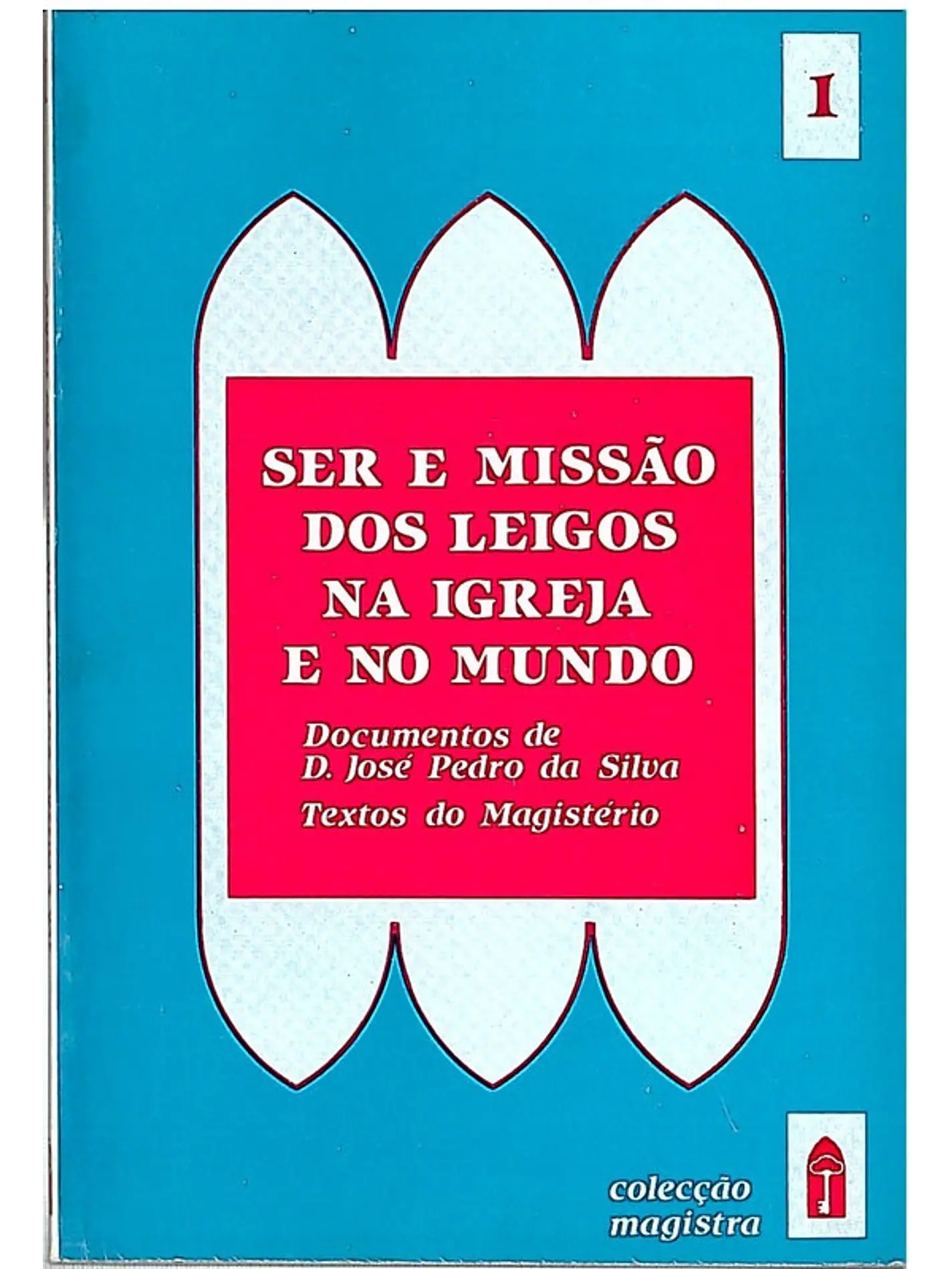 Ser missão dos leigos na igreja e no mundo 1
