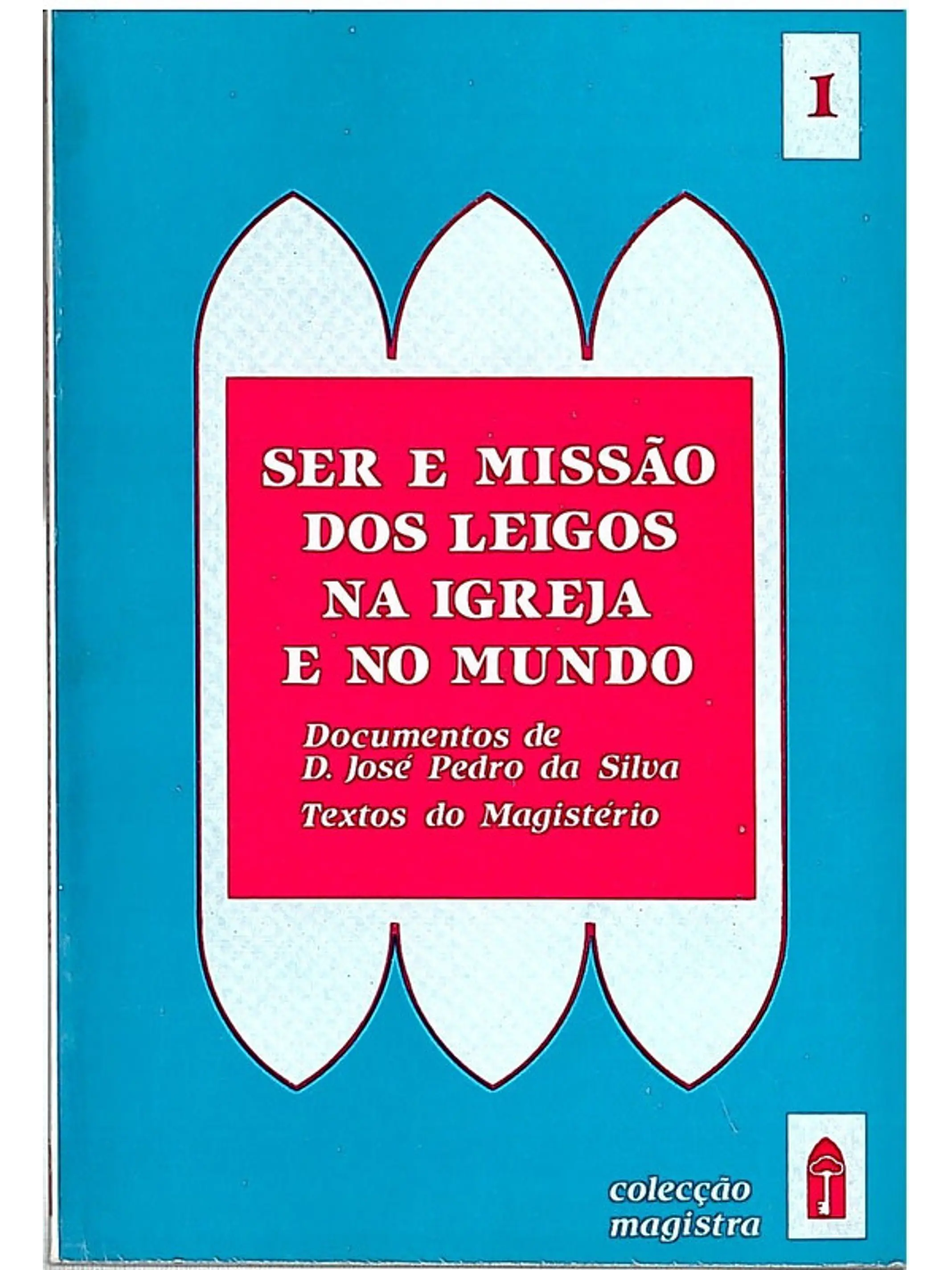 Ser missão dos leigos na igreja e no mundo 1