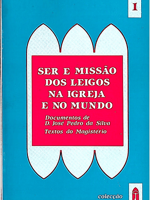 Ser missão dos leigos na igreja e no mundo