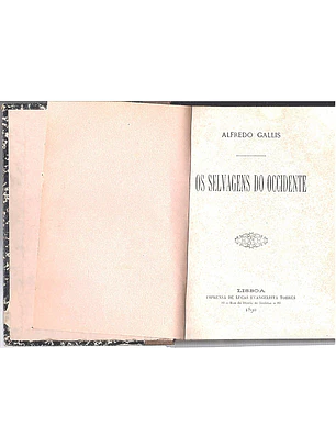 Os selvagens do occidente
