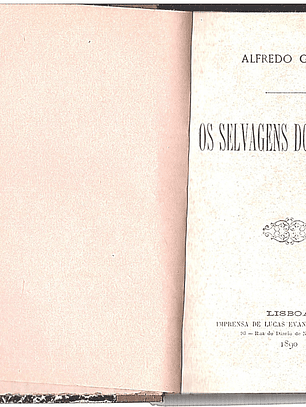 Os selvagens do occidente