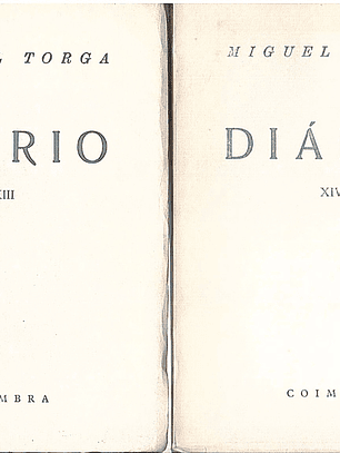 Diário Volume 13