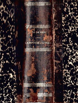 Campo de flores volume um