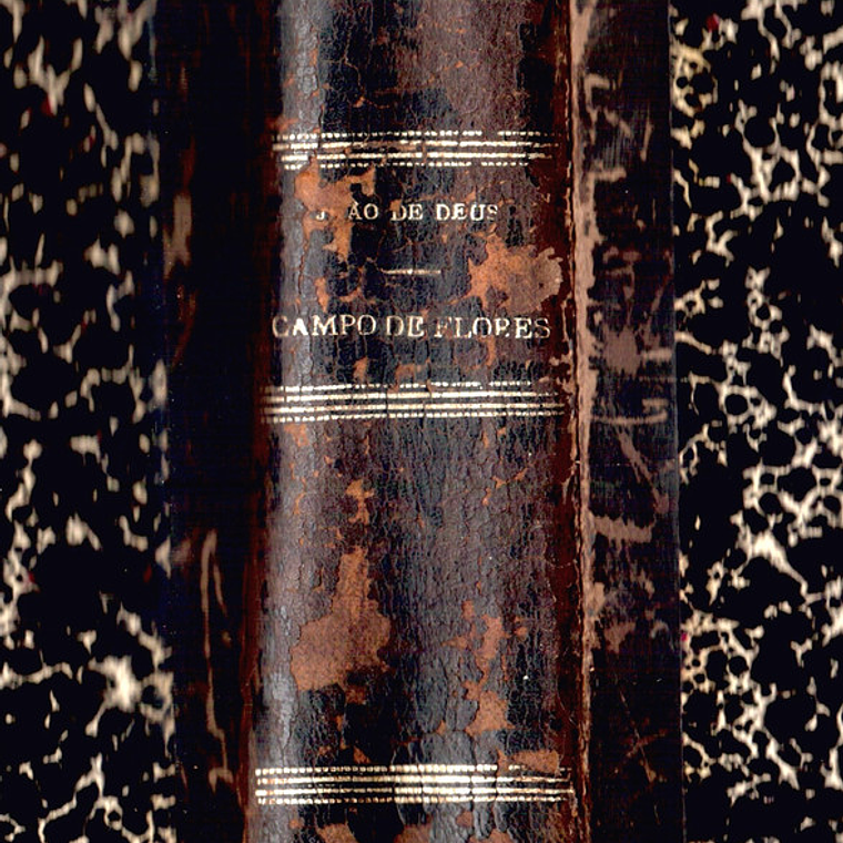 Campo de flores volume um 1