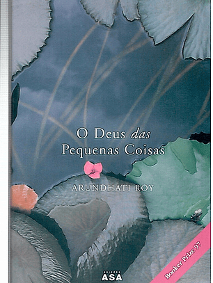 O Deus das pequenas coisas