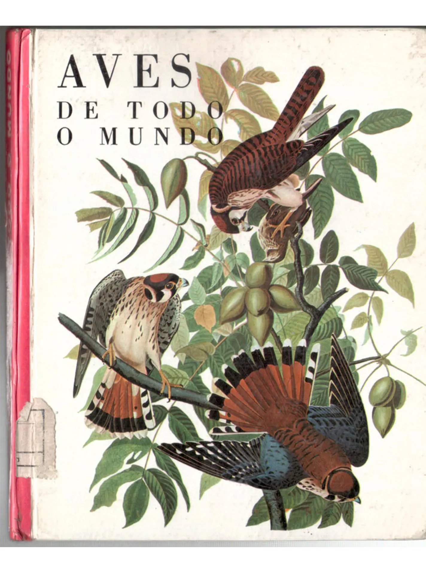 Maravilhas do mundo e da ciência - Aves de todo o mundo 1