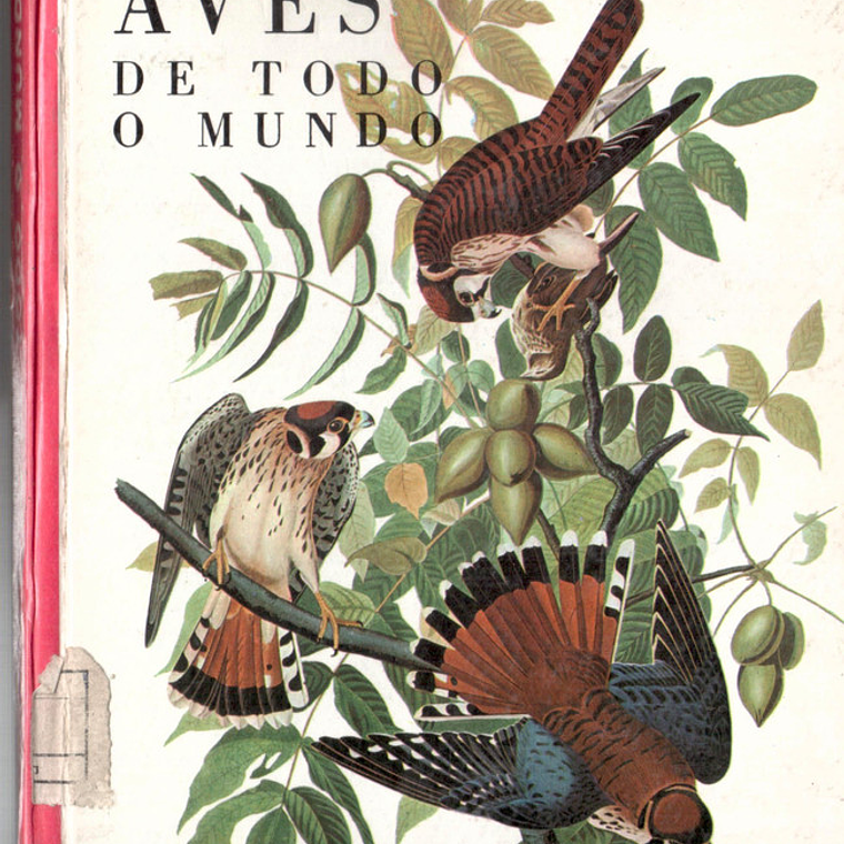 Maravilhas do mundo e da ciência - Aves de todo o mundo 1