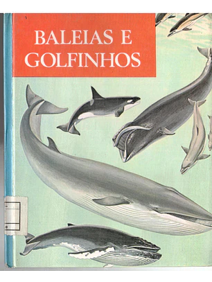 Maravilhas do mundo e da ciência - Baleias e golfinhos