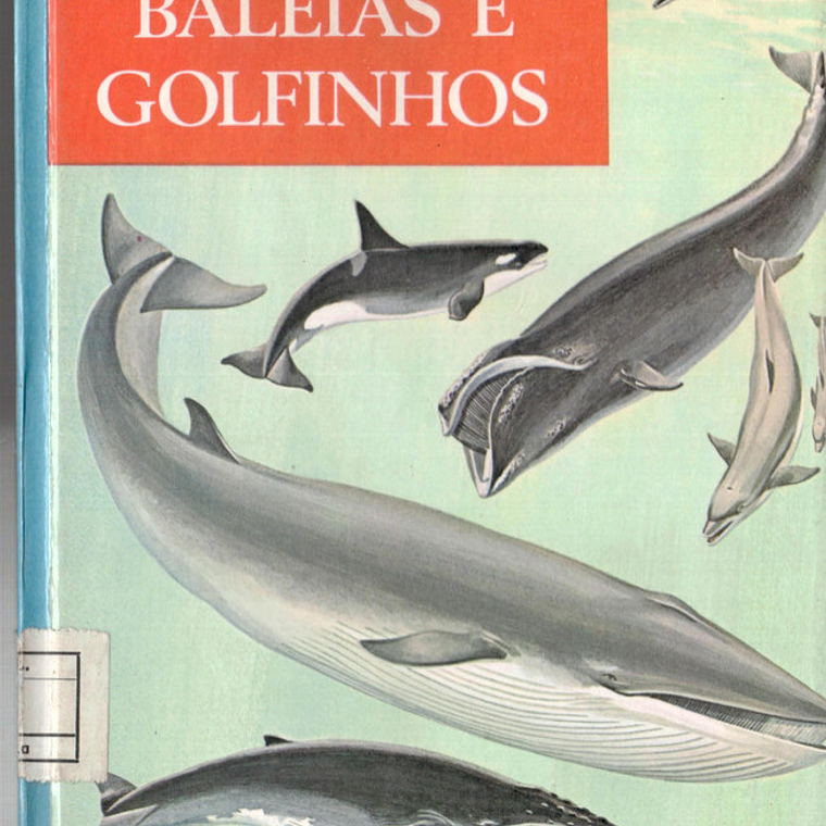 Maravilhas do mundo e da ciência - Baleias e golfinhos 1