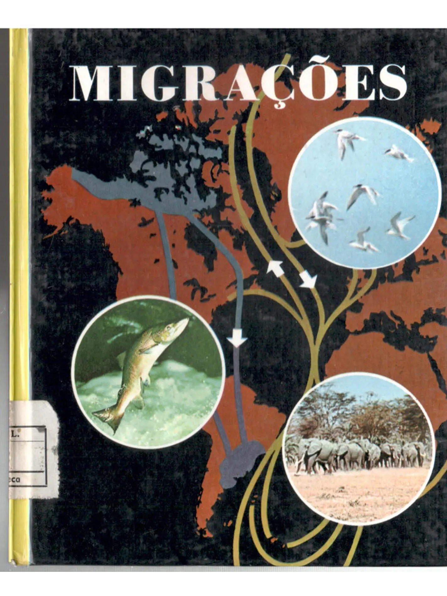 Maravilhas do mundo e da ciência - Migrações 1