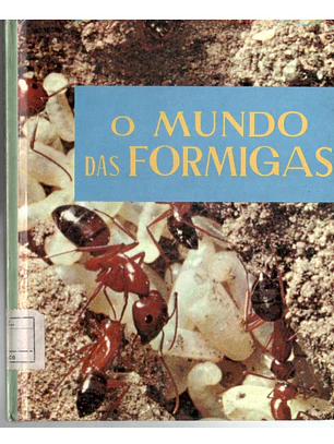 Maravilhas do mundo e da ciência - O mundo das formigas