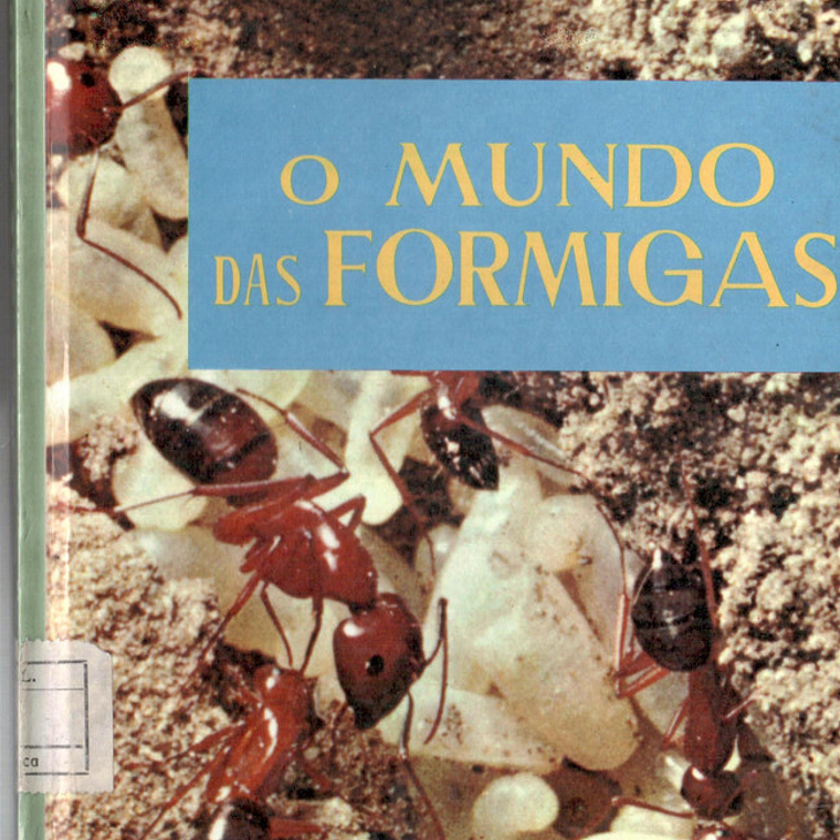 Maravilhas do mundo e da ciência - O mundo das formigas 1