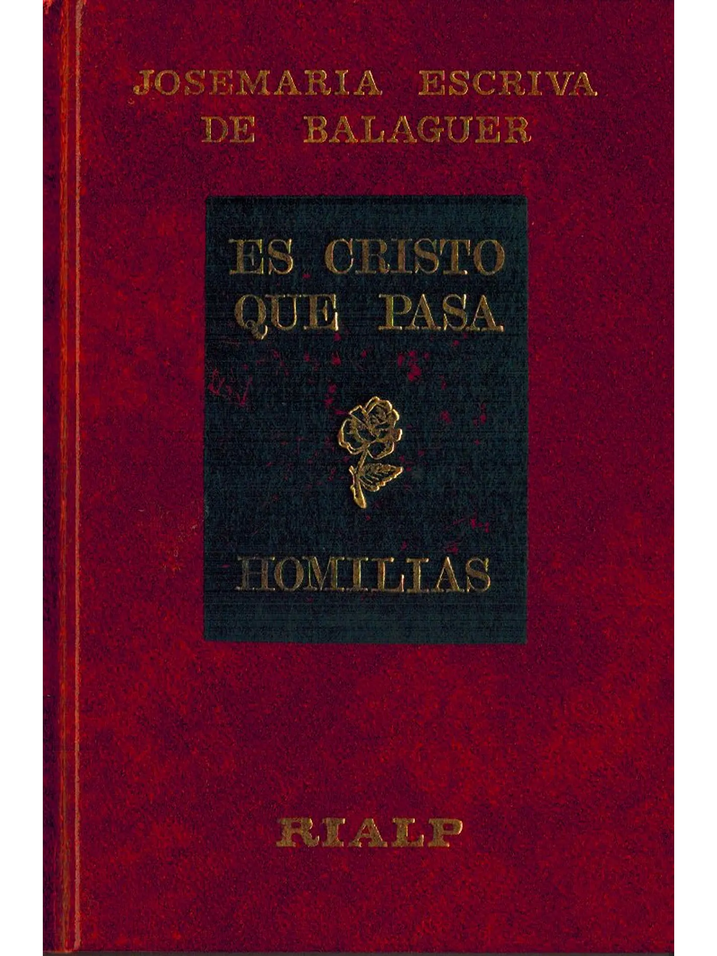 Es Cristo que pasa 1