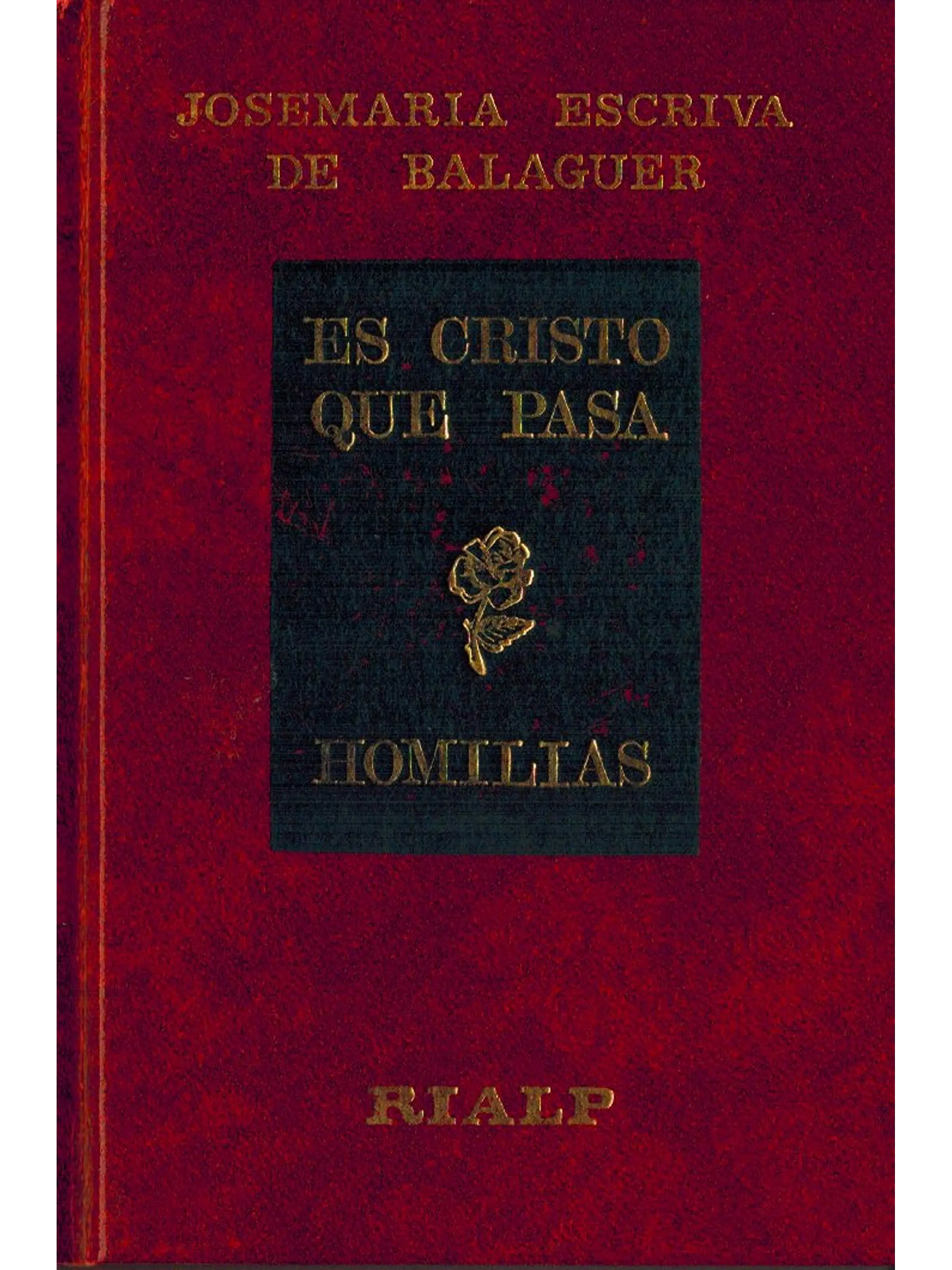 Es Cristo que pasa 1