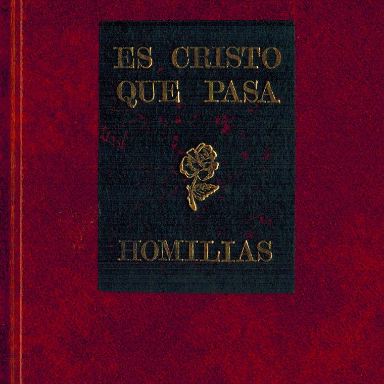 Es Cristo que pasa 1