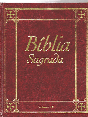 Bíblia sagrada Volume 9