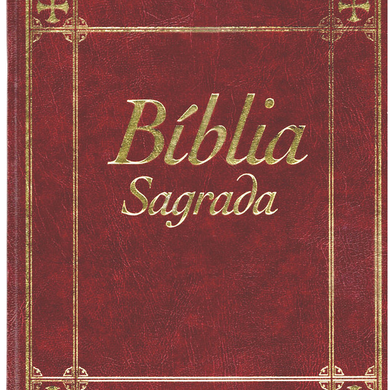 Bíblia sagrada Volume 9 1