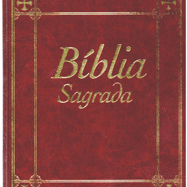 Bíblia sagrada Volume 7 1