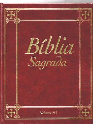 Bíblia sagrada Volume 6