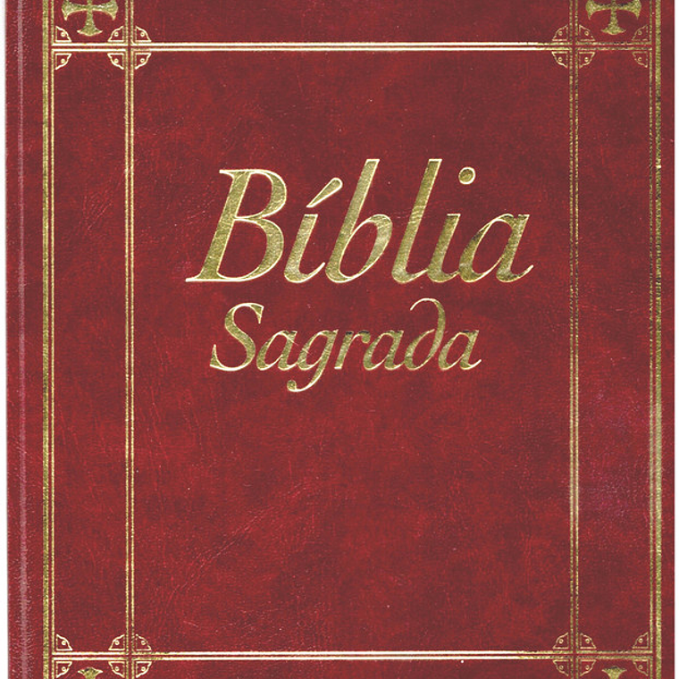 Bíblia sagrada Volume 6 1
