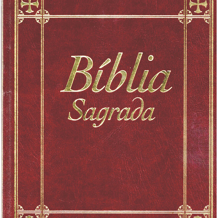 Bíblia sagrada Volume 5 1