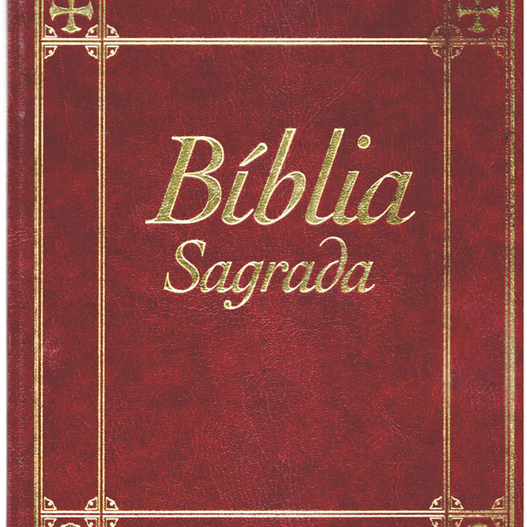 Bíblia sagrada Volume 4 1