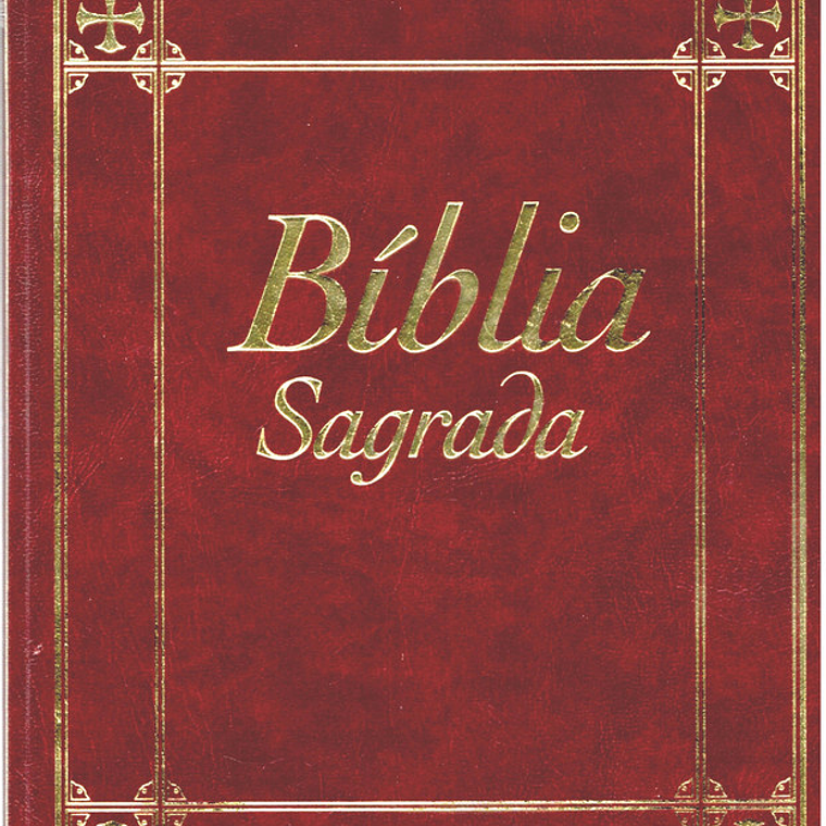 Bíblia sagrada Volume 3 1