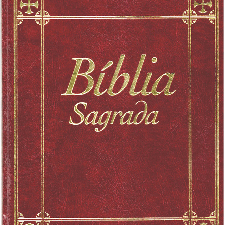 Bíblia sagrada Volume 2 1