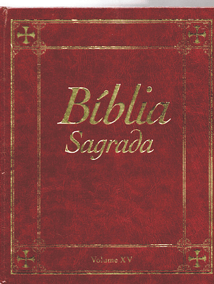 Bíblia sagrada Volume 15