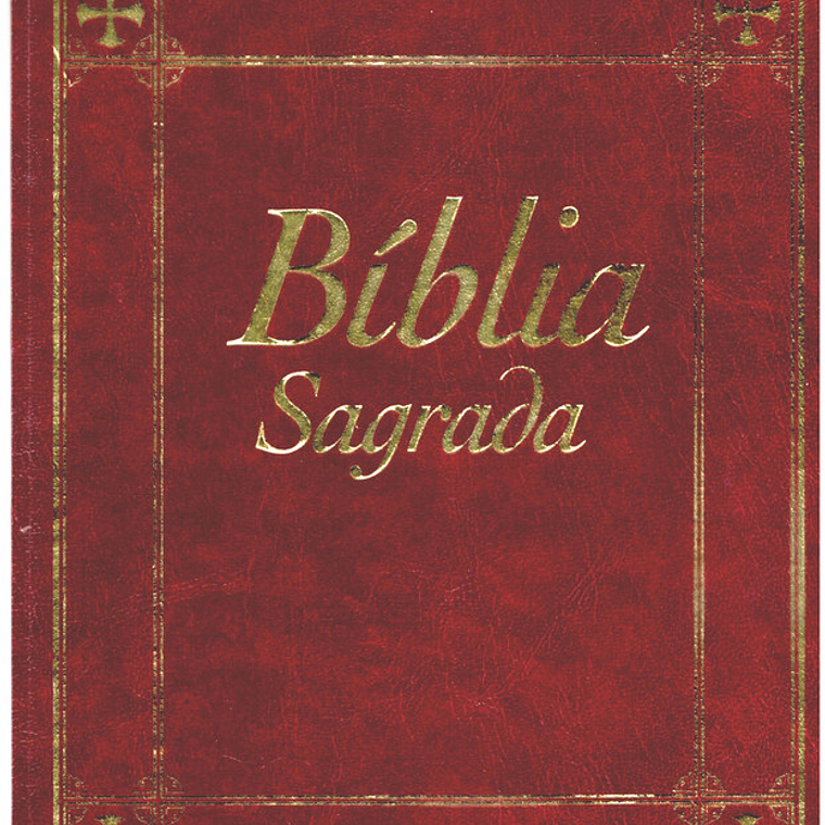 Bíblia sagrada Volume 15 1