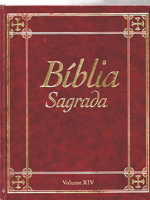 Bíblia sagrada Volume 14