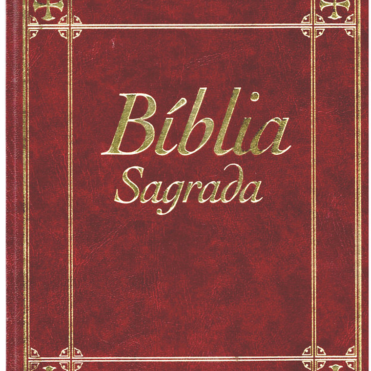 Bíblia sagrada Volume 14 1