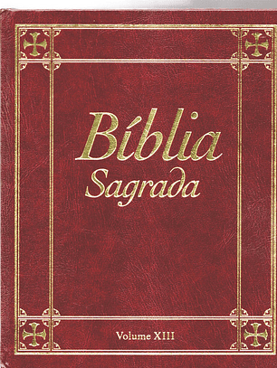 Bíblia sagrada Volume 13