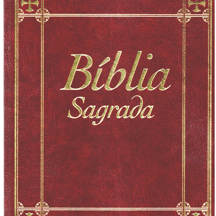 Bíblia sagrada Volume 13 1