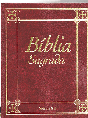 Bíblia sagrada Volume 12