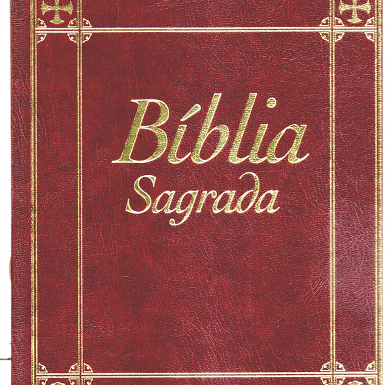 Bíblia sagrada Volume 12 1