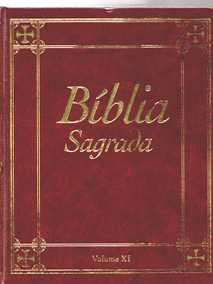 Bíblia sagrada Volume 11