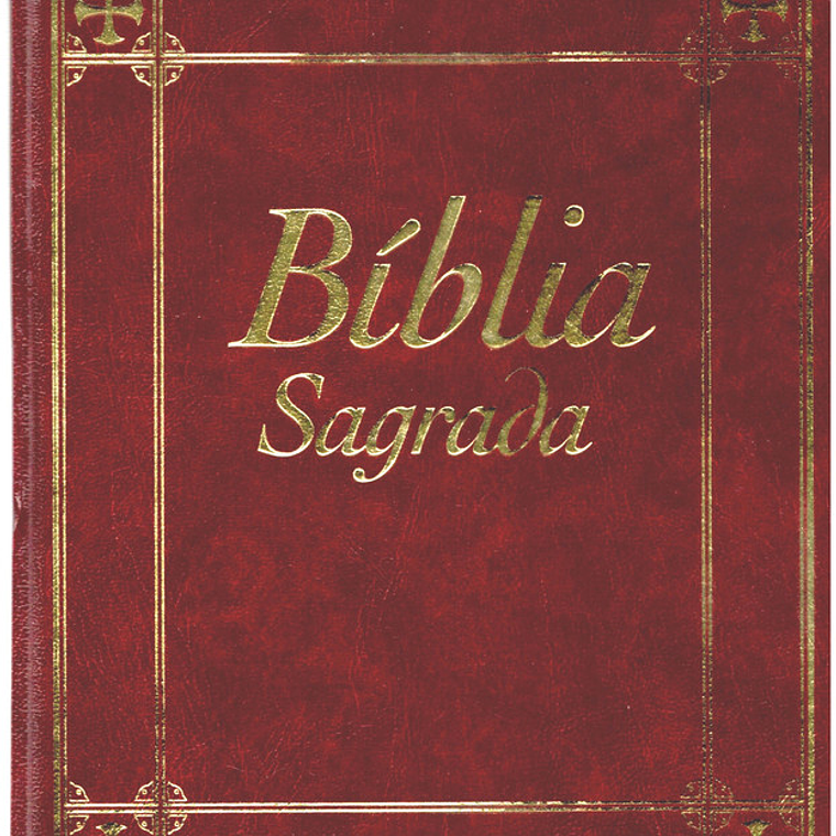 Bíblia sagrada Volume 11 1