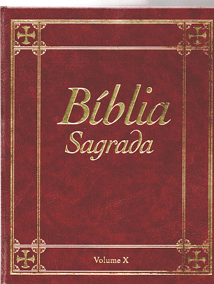 Bíblia sagrada Volume 10