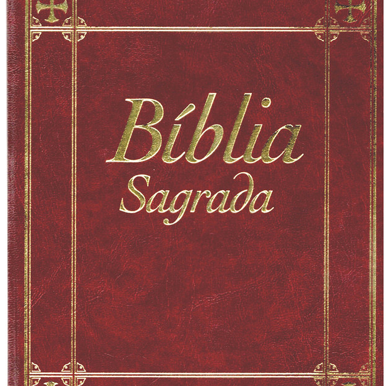 Bíblia sagrada Volume 10 1