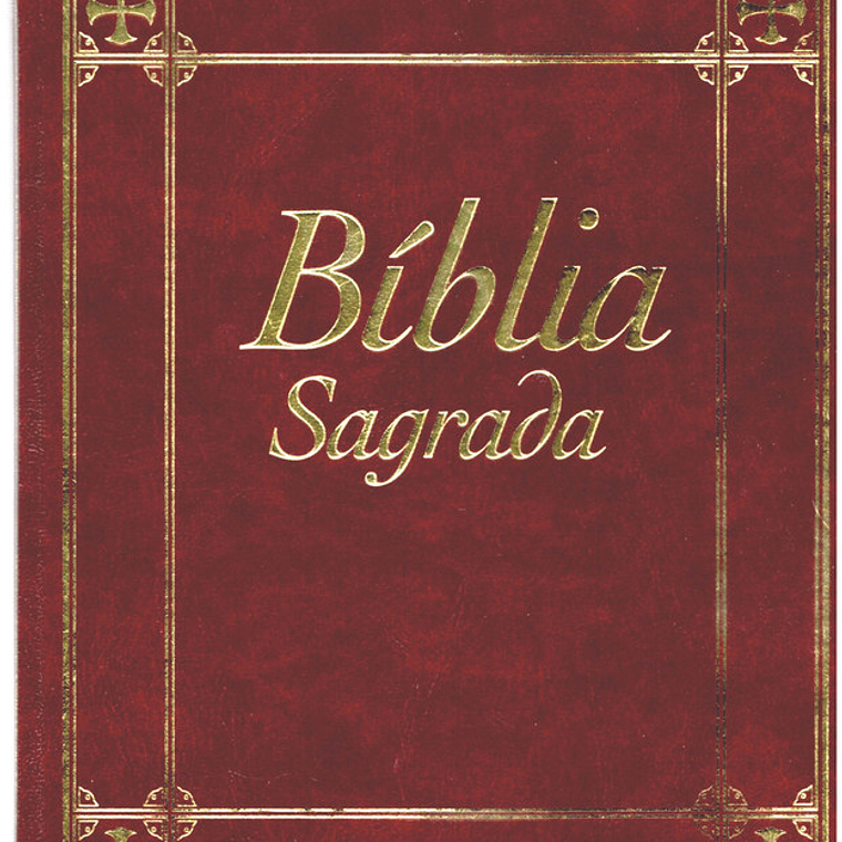 Bíblia sagrada Volume 1 1