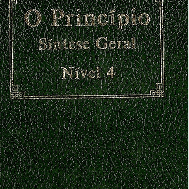 O principio síntese geral 1